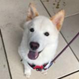 (Category: ) located in . Submitted by dealfasthasslefree (Listing ID 1263262541, Image 1). Description: .