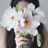 （分類：）位於 。 由 f22vmkr8t6 提交（商品編號 1319176187，圖片 1）。簡介： 。