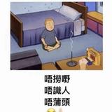 （分類：）位於 。 由 loganwu 提交（商品編號 1292808721，圖片 1）。簡介： 。