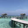 (Kategori: ) berada di . Dikirim oleh srnr1 (ID iklan 1386421958, Gambar 1). Deskripsi: .