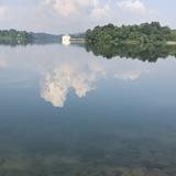 (Category: ) located in . Submitted by virgoshearts (Listing ID 1384266706, Image 1). Description: .