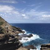 （分類：）位於 。 由 hawaiilover123 提交（商品編號 1378837465，圖片 1）。簡介： 。