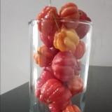 (Kategori: ) berada di . Dikirim oleh GreenAppleTan (ID iklan 1229219435, Gambar 1). Deskripsi: .