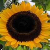 (分類:)位於 。 由 mei0602 提交(商品編號 1464753853,圖片 1)。簡介: 。