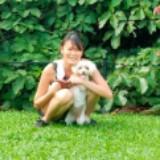 (Category: ) located in . Submitted by loveactuallysg (Listing ID 1377893217, Image 1). Description: .