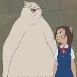 (分類:)位於 。 由 meow1214 提交(商品編號 1467532539,圖片 1)。簡介: 。