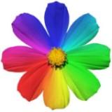 (Category: ) located in . Submitted by rasamoahs (Listing ID 1380524197, Image 1). Description: .