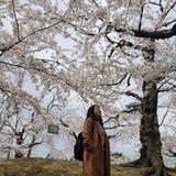 （分類：）位於 。 由 snowman_ki 提交（商品編號 1347056789，圖片 1）。簡介： 。