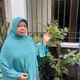 (Kategori: ) berada di . Dikirim oleh rafanur (ID iklan 1384629458, Gambar 1). Deskripsi: .
