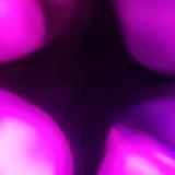 (Category: ) located in . Submitted by guntherxx (Listing ID 1348424454, Image 1). Description: .