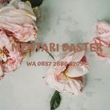 (Kategori: ) berada di . Dikirim oleh mentaridaster2304-36688 (ID iklan 1382128687, Gambar 1). Deskripsi: .