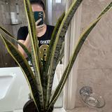 (Category: ) located in . Submitted by anneram143 (Listing ID 1446923417, Image 1). Description: .
