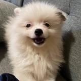 (Category: ) located in . Submitted by prettyandpaired (Listing ID 1208535880, Image 1). Description: .