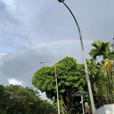 (Category: ) located in . Submitted by rrraj (Listing ID 1442798365, Image 1). Description: .