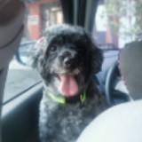 (Category: ) located in . Submitted by cristina8g (Listing ID 1366690738, Image 1). Description: .