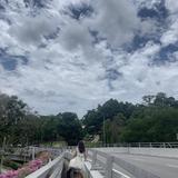 (Category: ) located in . Submitted by marinaraxx (Listing ID 1279811535, Image 1). Description: .