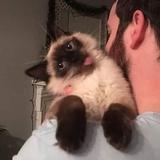 (Category: ) located in . Submitted by helpclearthx_ (Listing ID 1382412254, Image 1). Description: .