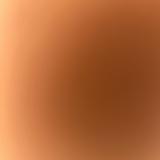 (分類:)位於 。 由 jeraldjhk 提交(商品編號 1463209473,圖片 1)。簡介: 。