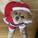 (Category: ) located in . Submitted by jo_yao (Listing ID 1247466380, Image 1). Description: .