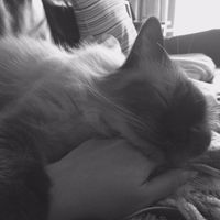 (Category: ) located in . Submitted by ilahh_h (Listing ID 1379049308, Image 1). Description: .