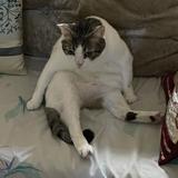 (Category: ) located in . Submitted by speeder565 (Listing ID 1385992191, Image 1). Description: .