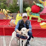 由 hayden.chang (刊登 ID 1143240723，圖片 1) 提交，位於 的 (類別：)，說明：。