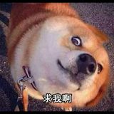 （分類：）位於 。 由 0_idea 提交（商品編號 1362987745，圖片 1）。簡介： 。