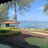 (Category: ) located in . Submitted by xuanzi (Listing ID 1275740982, Image 1). Description: .