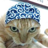 由 wcccc (刊登 ID 1385292581，圖片 1) 提交，位於 的 (類別：)，說明：。