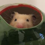 （分類：）位於 。 由 lotsolvur 提交（商品編號 1375300138，圖片 1）。簡介： 。