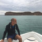 (分類:)位於 。 由 lucasmcaceres 提交(商品編號 1468166008,圖片 1)。簡介: 。