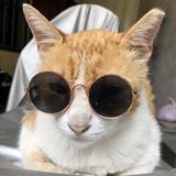 由 joyce228888 (刊登 ID 1385694158，圖片 1) 提交，位於 的 (類別：)，說明：。