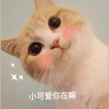 由 lol2333 (刊登 ID 1327231050，圖片 1) 提交，位於 的 (類別：)，說明：。
