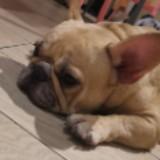 (Category: ) located in . Submitted by eason.wereg (Listing ID 1385708475, Image 1). Description: .