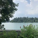 (Category: ) located in . Submitted by honeygraham (Listing ID 1156803630, Image 1). Description: .