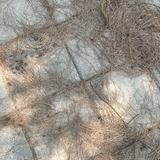由 miaxddd (刊登 ID 1383482428，圖片 1) 提交，位於 的 (類別：)，說明：。