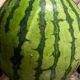 （分類：）位於 。 由 ork.nggggggg 提交（商品編號 1322503544，圖片 1）。簡介： 。