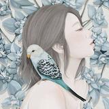 （分類：）位於 。 由 defacto11 提交（商品編號 1360624482，圖片 1）。簡介： 。