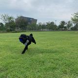 （分類：）位於 。 由 tracytam730 提交（商品編號 1221956935，圖片 1）。簡介： 。