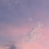 (Category: ) located in . Submitted by decluttercollection (Listing ID 1361742389, Image 1). Description: .
