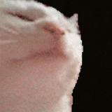 (Category: ) located in . Submitted by nthtodohere (Listing ID 1369484907, Image 1). Description: .