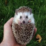 (Category: ) located in . Submitted by pleasedontaskforfun (Listing ID 1118581158, Image 1). Description: .