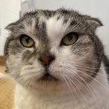 （分類：）位於 。 由 maku33 提交（商品編號 1307173112，圖片 1）。簡介： 。