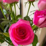 （分類：）位於 。 由 mankifiona 提交（商品編號 1268577180，圖片 1）。簡介： 。