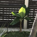 (Category: ) located in . Submitted by perrinecavat (Listing ID 1379822884, Image 1). Description: .