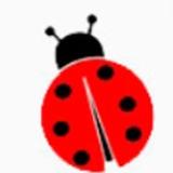 由 ladybugshop (刊登 ID 1344644061，圖片 1) 提交，位於 的 (類別：)，說明：。