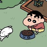 (Category: ) located in . Submitted by yy2705 (Listing ID 1343947561, Image 1). Description: .