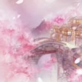 (分類:)位於 。 由 krisdn 提交(商品編號 1245267613,圖片 1)。簡介: 。