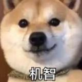 (Category: ) located in . Submitted by shanxinpeter (Listing ID 1367353224, Image 1). Description: .