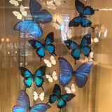 (分類:)位於 。 由 optimal118 提交(商品編號 1463020880,圖片 1)。簡介: 。